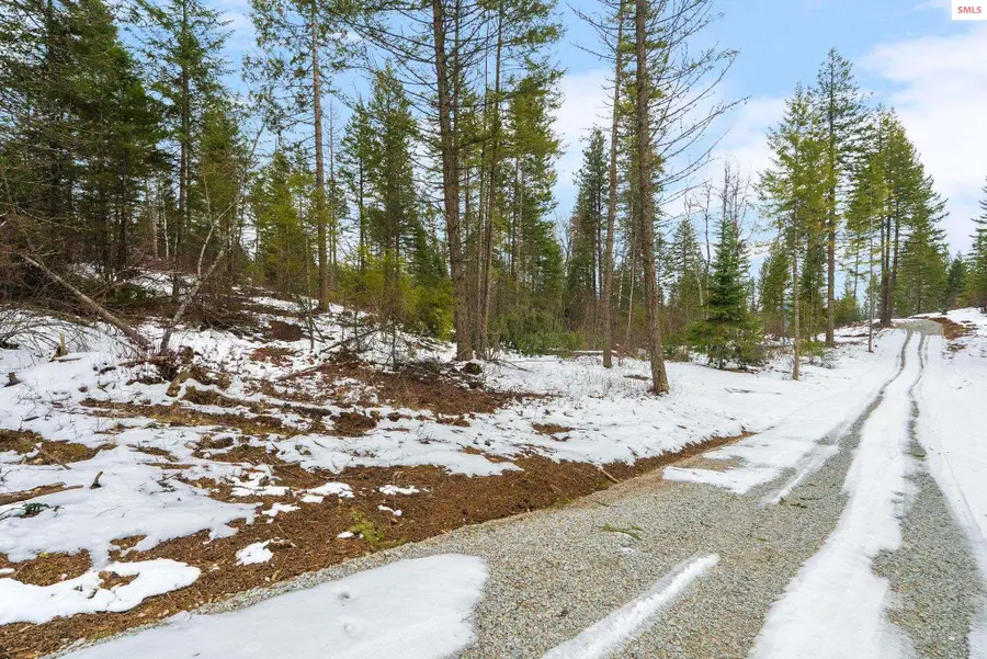 Lot 4 Settlers Lane, Cocolalla, ID 83813 - #3