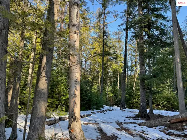 9775 Bottle Bay Rd, Sagle, ID 83860