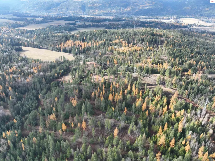 NKA Snowberry Lane, Sandpoint, ID 83864 - #2