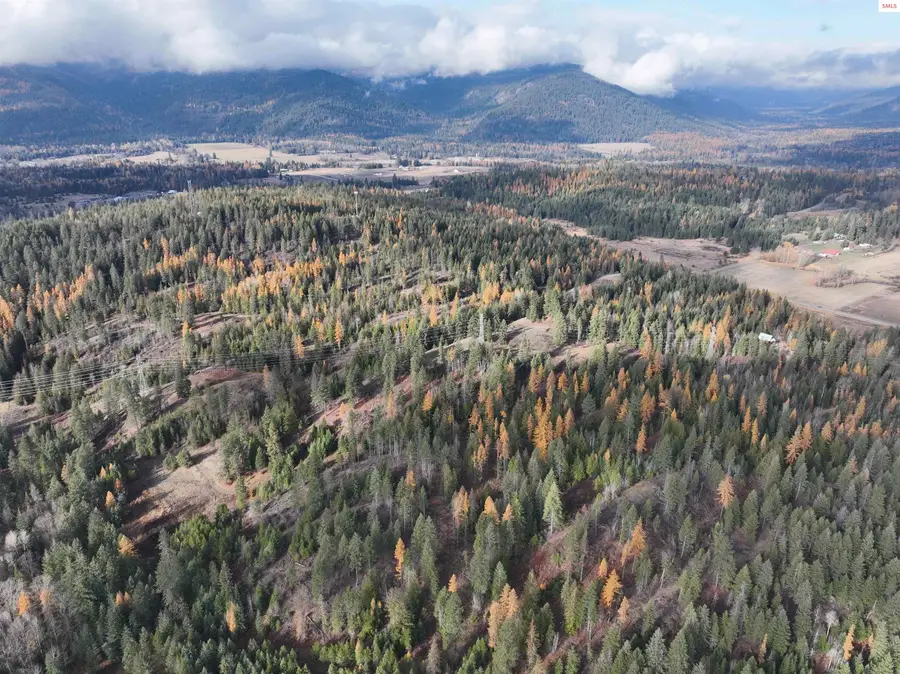 NKA Snowberry Lane, Sandpoint, ID 83864 - #3