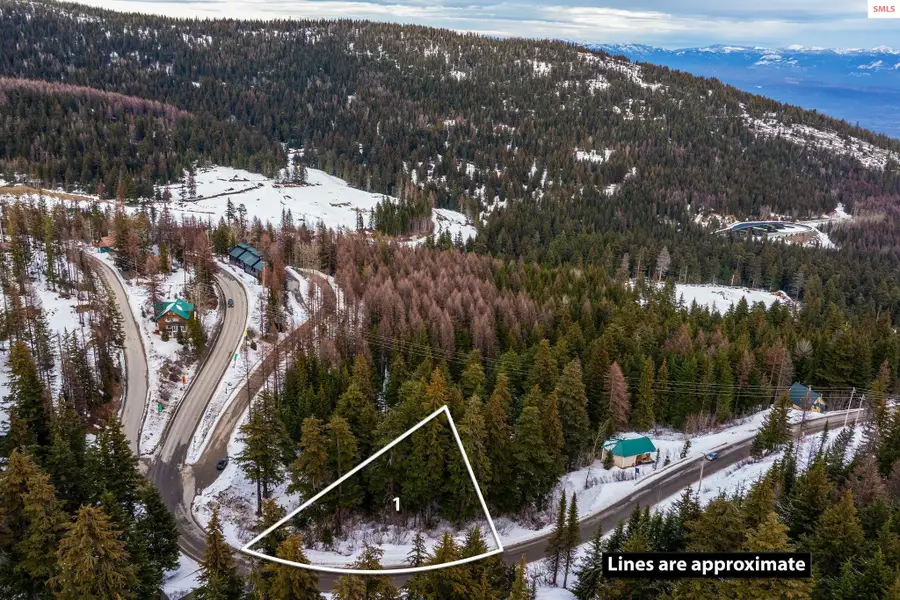 NNA Schweitzer Mountain Rd. Blk 6 Lot 1, Sandpoint, ID 83864 - #2
