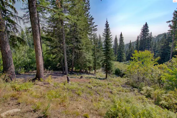 Blk4 Lot4 Ullr Dr, Sandpoint, ID 83864