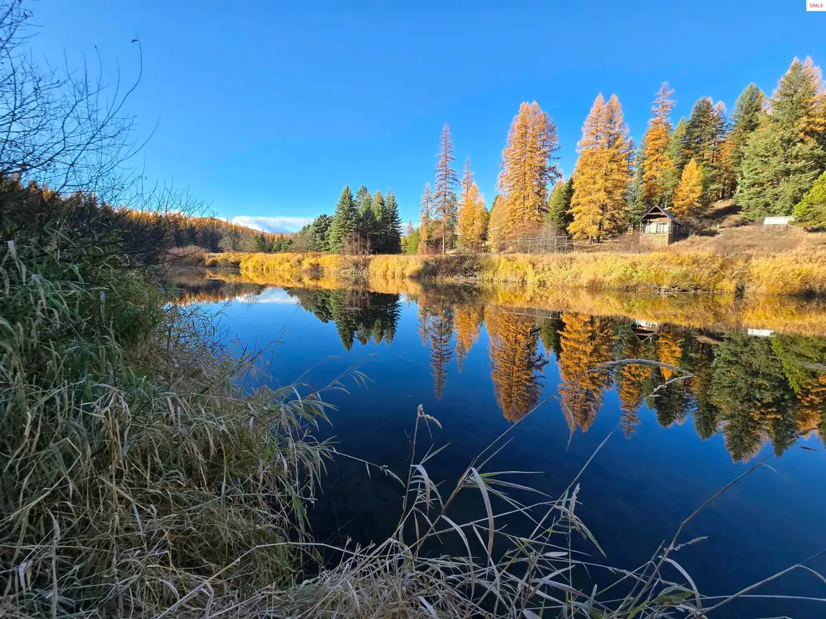 338 River View Drive, Yaak, MT 59935 - #1