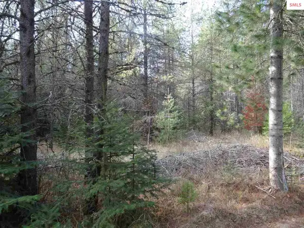 NNA Jasper Meadows (4950) 5.73ac, Priest River, ID 83856