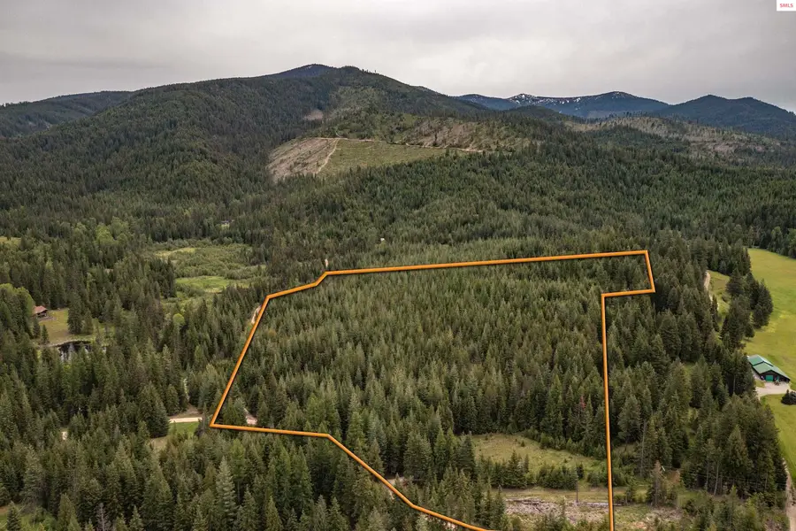 NNA Fox Creek Spur - 20 Acres, Priest River, ID 83856 - #2