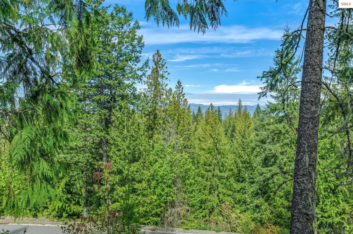 NNA C5 S Idaho Club Drive, Sandpoint, ID 83864 - #1