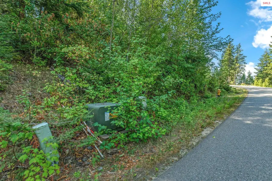 NNA C5 S Idaho Club Drive, Sandpoint, ID 83864 - #2