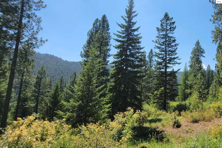 NNA Snowcat Lane Tract 4, Bonners Ferry, ID 83805 - #2