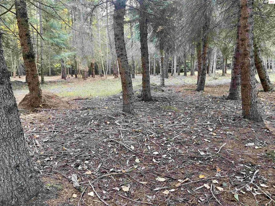 NNA Cougar Road, Naples, ID 83847 - #2