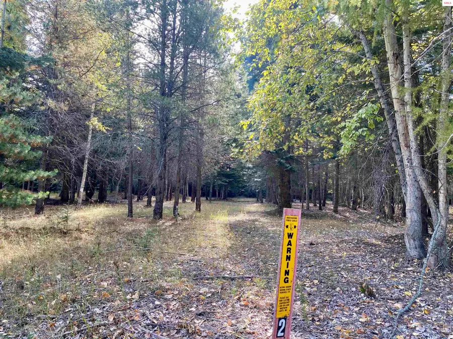 NNA Cougar Road, Naples, ID 83847 - #3