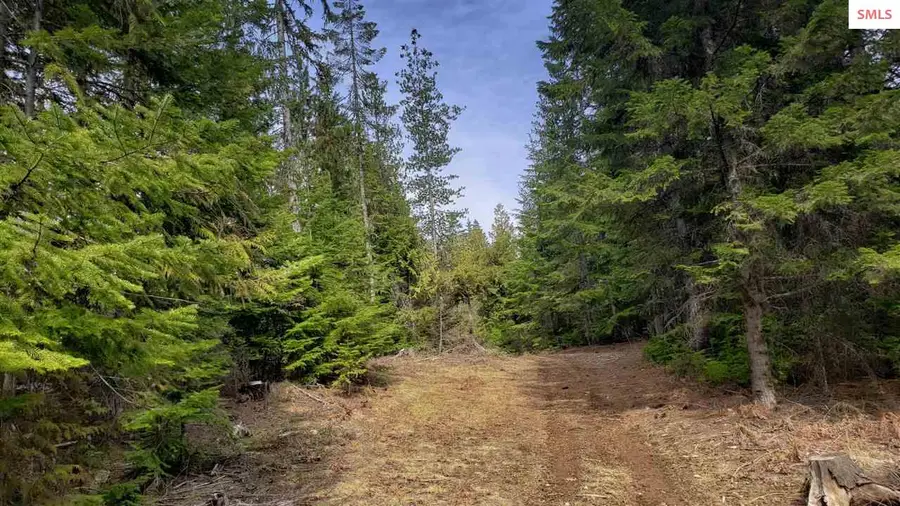 855 Meadowood, Sandpoint, ID 83864 - #2