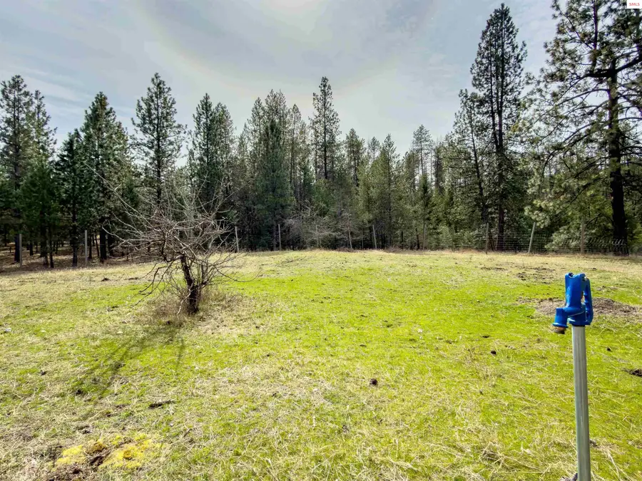 919 Silver Springs, Moyie Springs, ID 83845 - #3