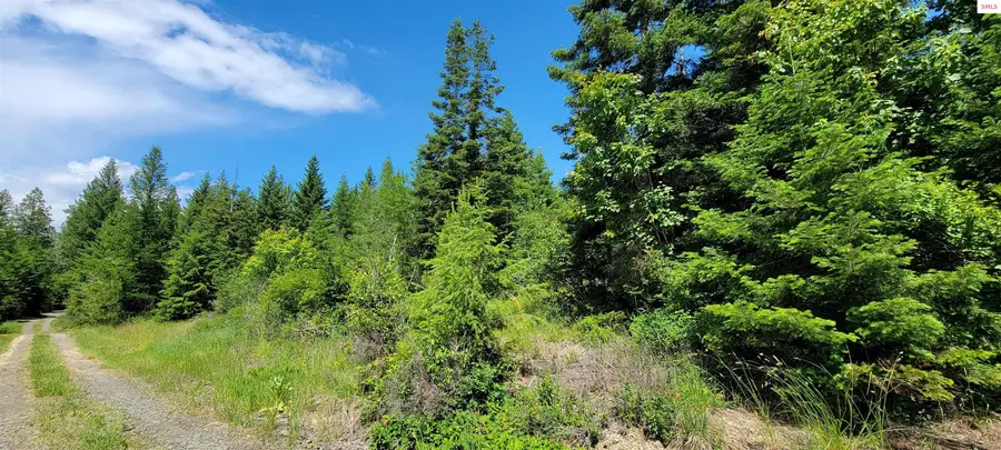 NNA Bootlegger Lane-parcel 1, Bonners Ferry, ID 83805 - #3