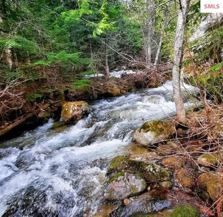 97 Mineral Ln, Sandpoint, ID 83864 - #1