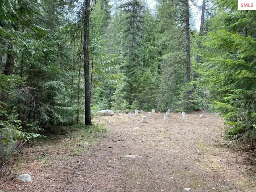 97 Mineral Ln, Sandpoint, ID 83864 - #3