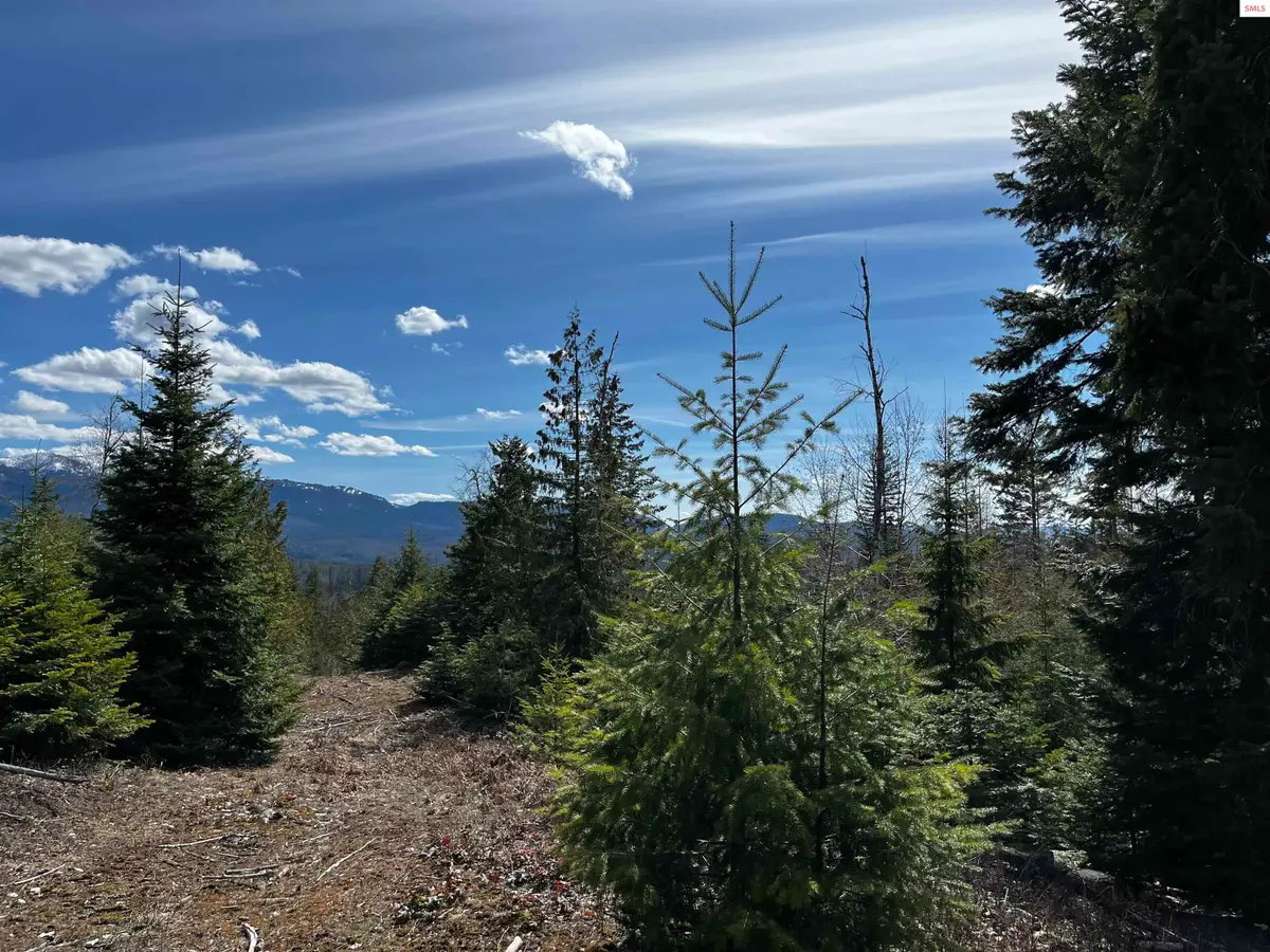 NNA Cohage Road, Sandpoint, ID 83864 - #1