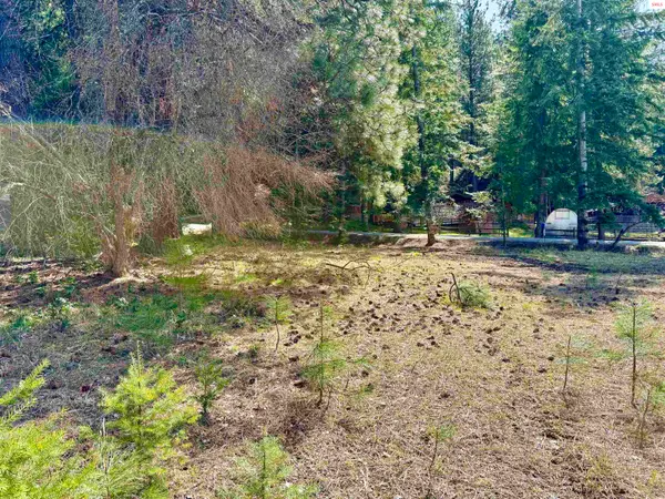 NNA Tannebaum Lane, Bonners Ferry, ID 83805