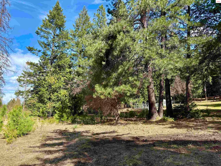 NNA Tannebaum Lane, Bonners Ferry, ID 83805 - #2
