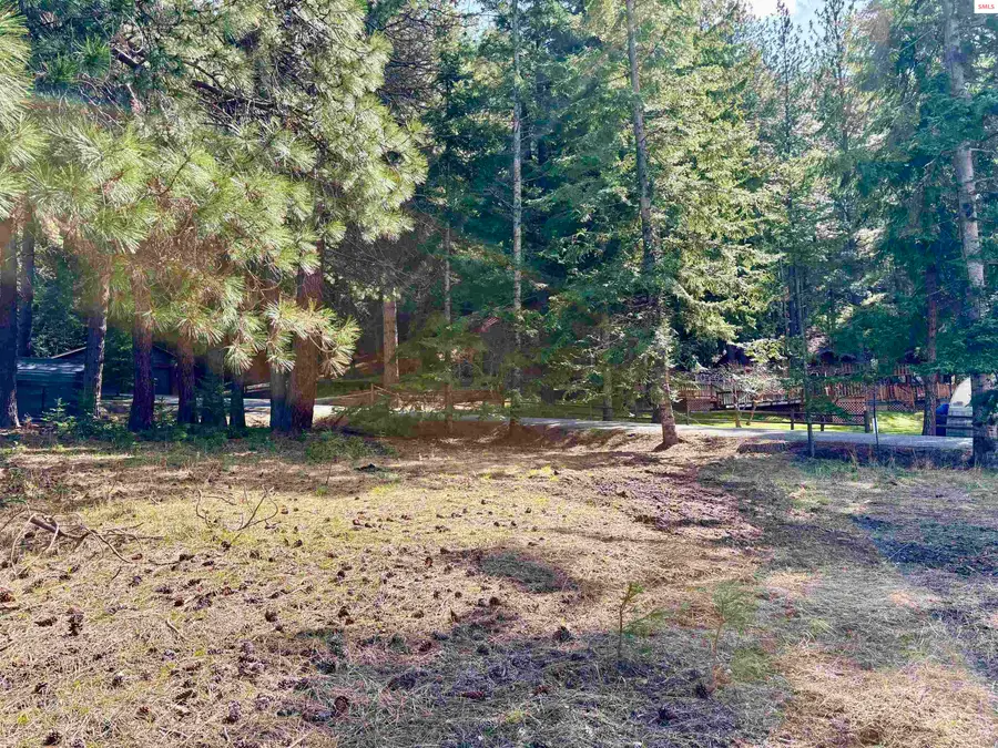 NNA Tannebaum Lane, Bonners Ferry, ID 83805 - #3