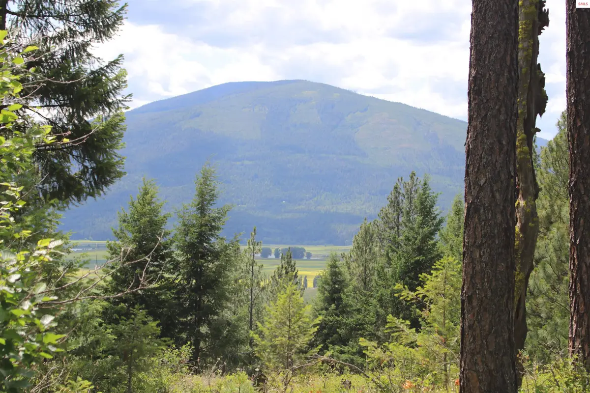 NNA Continental Lane-parcel 3, Bonners Ferry, ID 83805 - #1