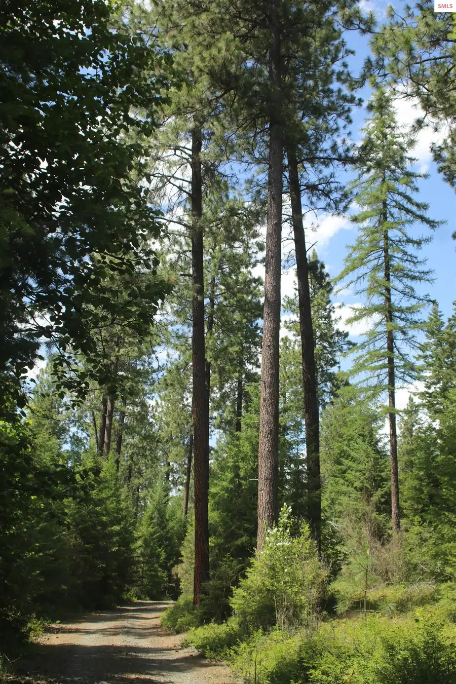 NNA Continental Lane-parcel 3, Bonners Ferry, ID 83805 - #2