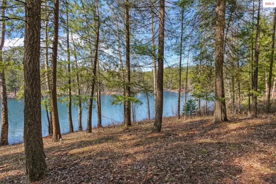 NNA Hanaford Rd., Blanchard, ID 83804 - #2