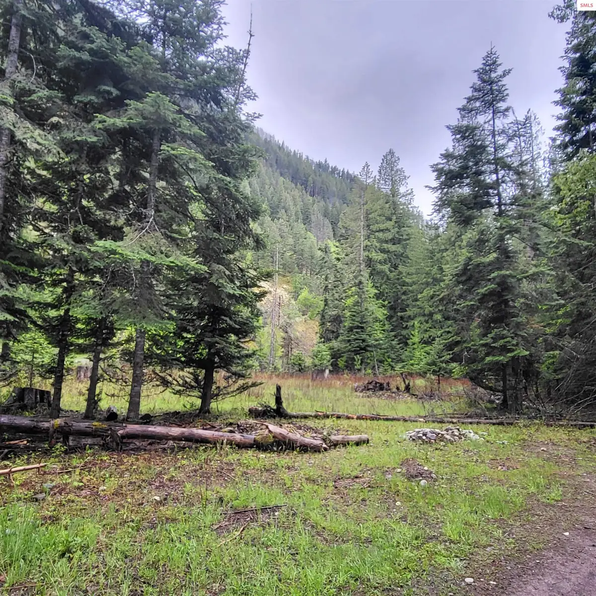 nna Silver Ave, Bayview, ID 83803 - #1