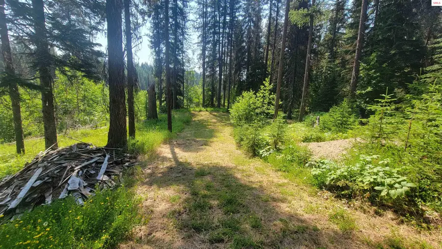 1442 & 1426 River View, Troy, MT 59935 - #2