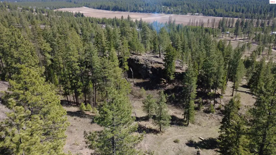 NNA Wolf Lodge Trail, Blanchard, ID 83804 - #2
