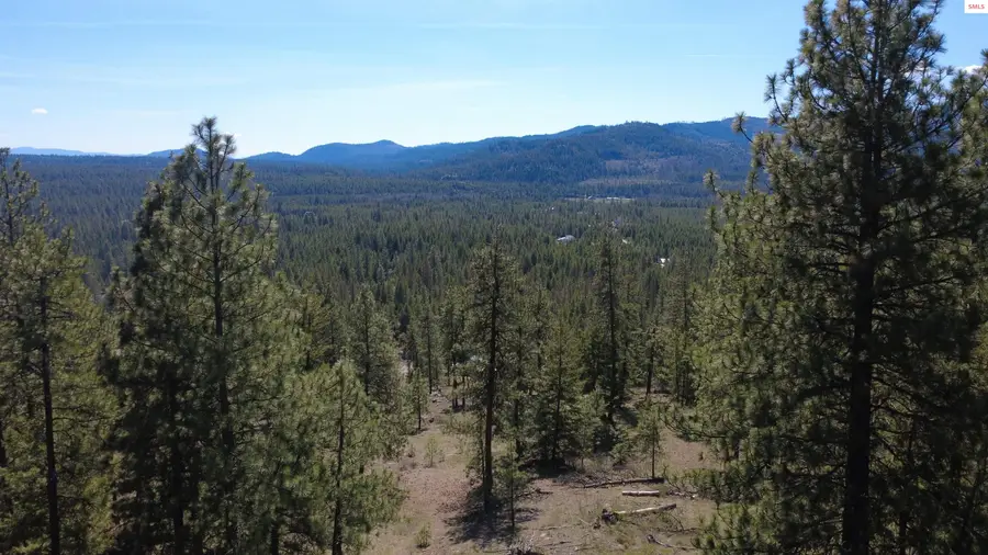 NNA Wolf Lodge Trail, Blanchard, ID 83804 - #3