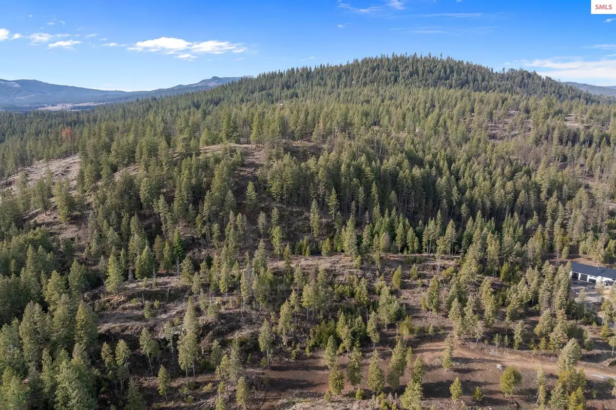 NKA Healing Dr. Lot 2 And Lot 3, Blanchard, ID 83804 - #1