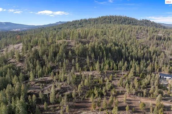 NKA Healing Dr. Lot 2 And Lot 3, Blanchard, ID 83804