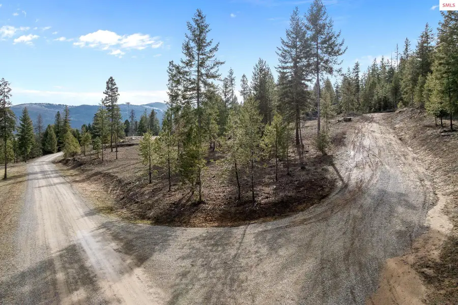 NKA Healing Dr. Lot 2 And Lot 3, Blanchard, ID 83804 - #2