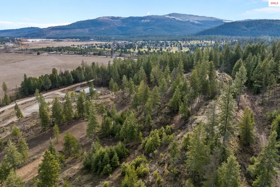 NKA Healing Dr. Lot 2 And Lot 3, Blanchard, ID 83804 - #3