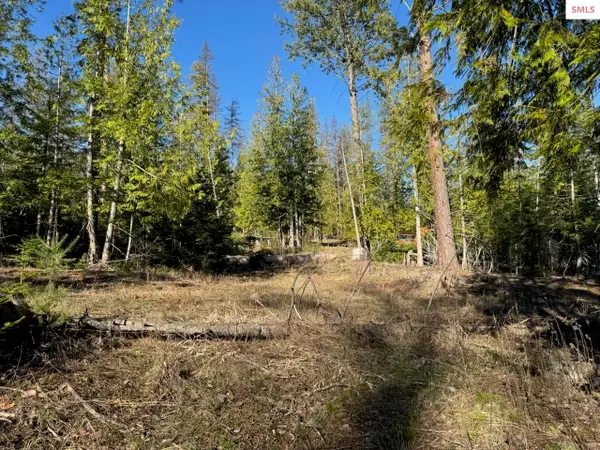 Lot 2 W Pine, Sandpoint, ID 83864