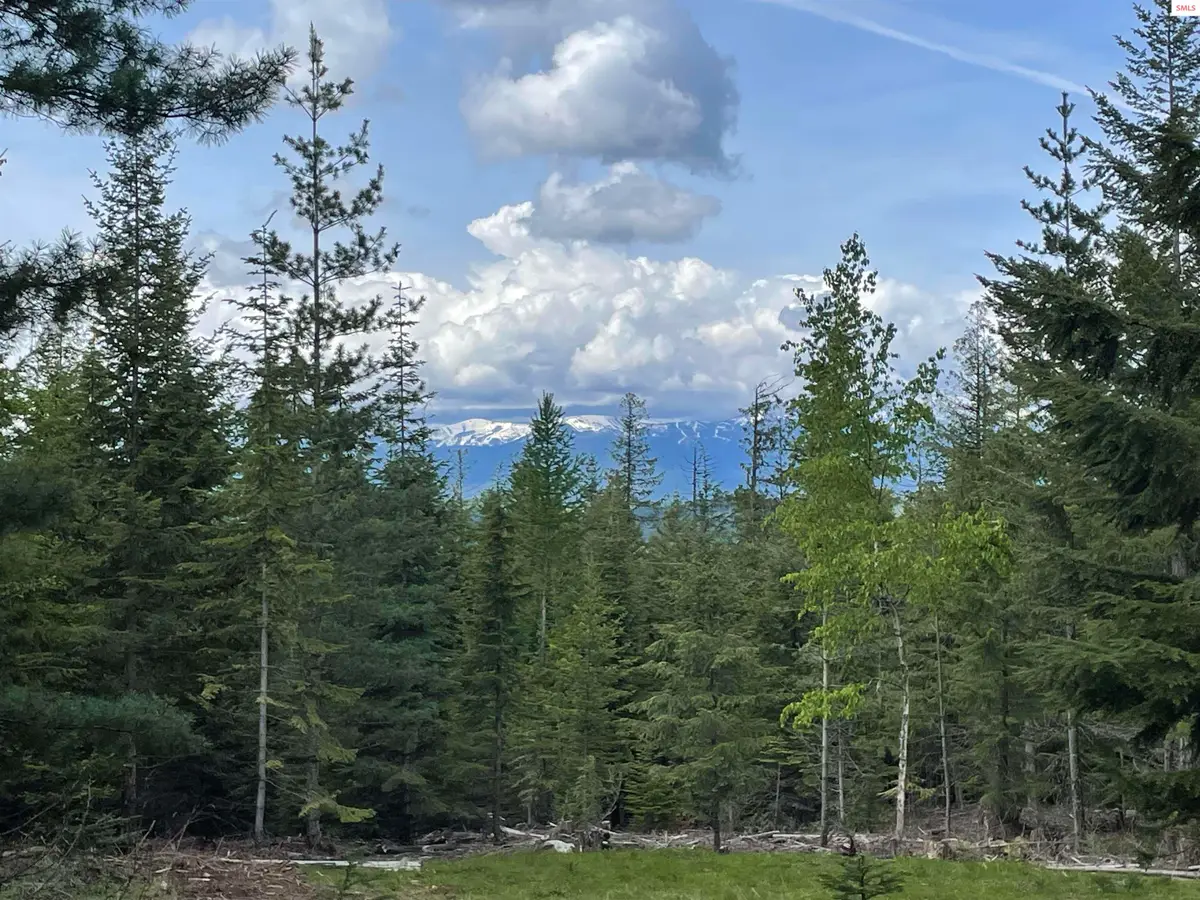 900 Rising Hawk Ridge, Sandpoint, ID 83864 - #1