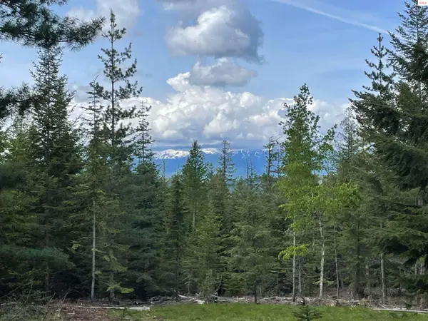 900 Rising Hawk Ridge, Sandpoint, ID 83864