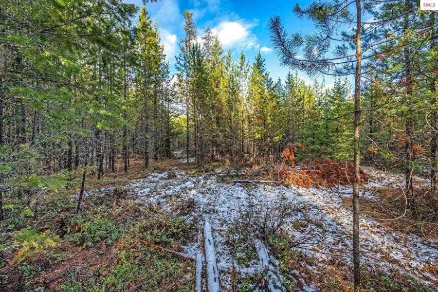 Lot 3 Reeder Bay Road, Nordman, ID 83848 - #3