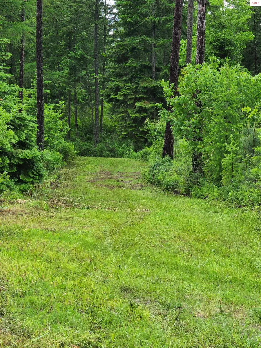 Smugglers Ln-tract A East, Bonners Ferry, ID 83805 - #2