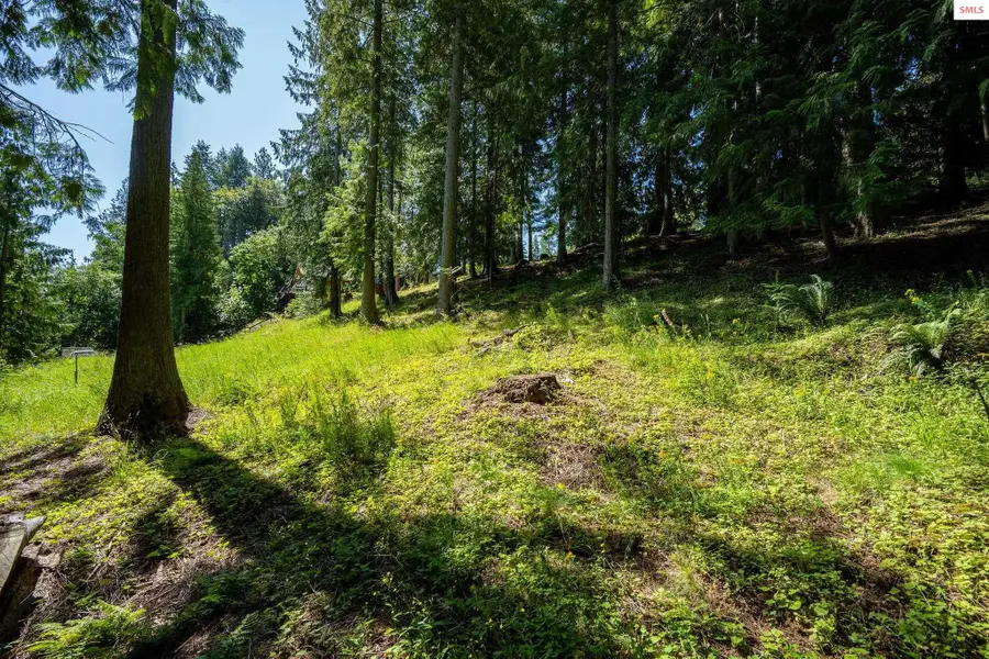 NNA Bay Dr, Sagle, ID 83860 - #2