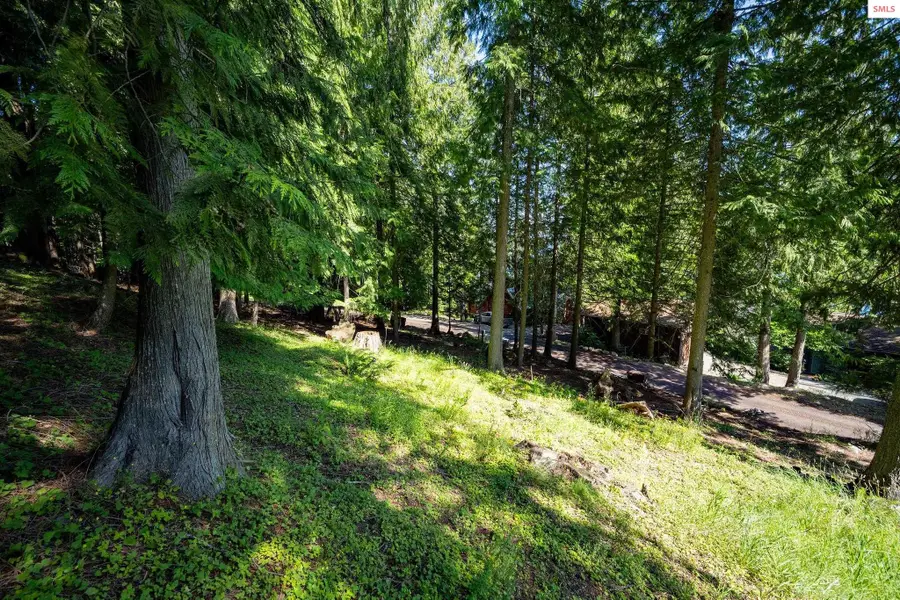NNA Bay Dr, Sagle, ID 83860 - #3