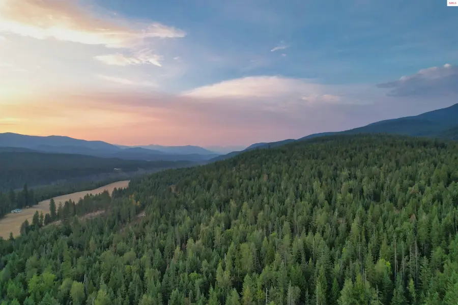 NNA 20 Acres Two Tail Road, Bonners Ferry, ID 83805 - #3