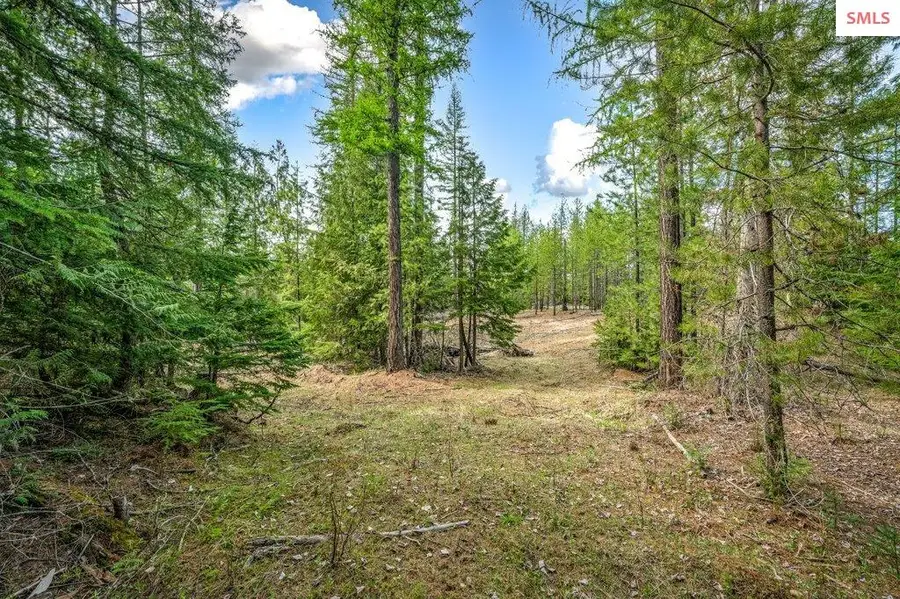 TBD Wellington, Sandpoint, ID 83864 - #3