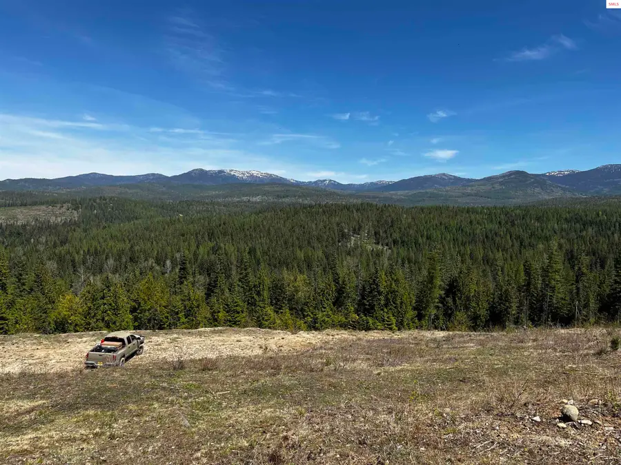 340 Laid Back Drive, Sandpoint, ID 83864 - #2