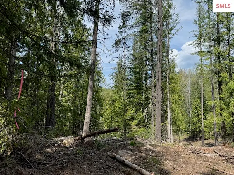 NNA Raven Ridge - 20 Acres, Sandpoint, ID 83864 - #1