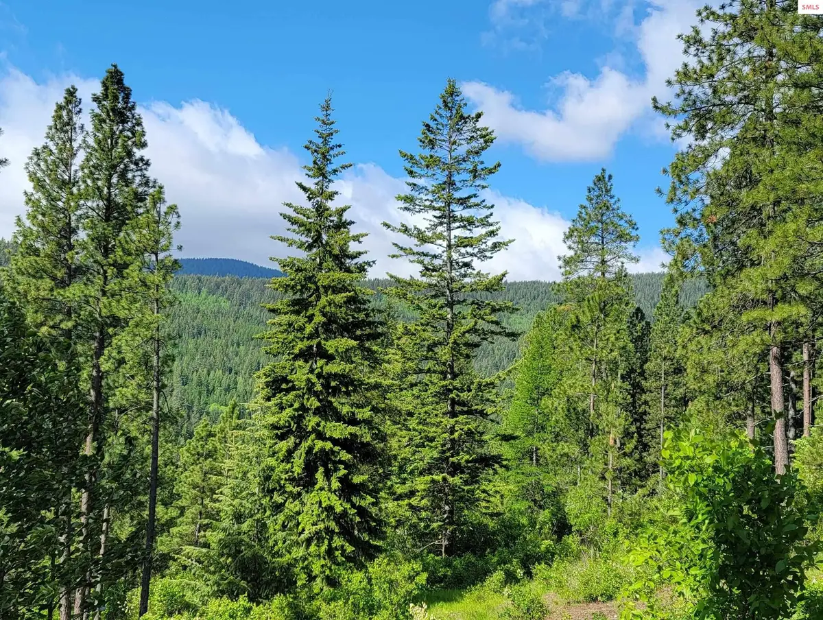 NNA Snowcat Lane Tract 2, Bonners Ferry, ID 83805 - #1
