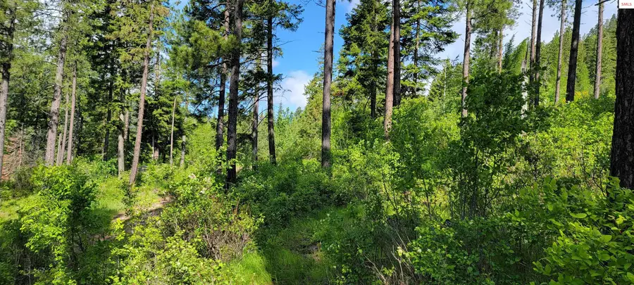 NNA Snowcat Lane Tract 2, Bonners Ferry, ID 83805 - #3