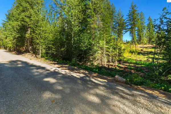 NKA Stone Rd Lot 2 (20 Acres), Blanchard, ID 83804