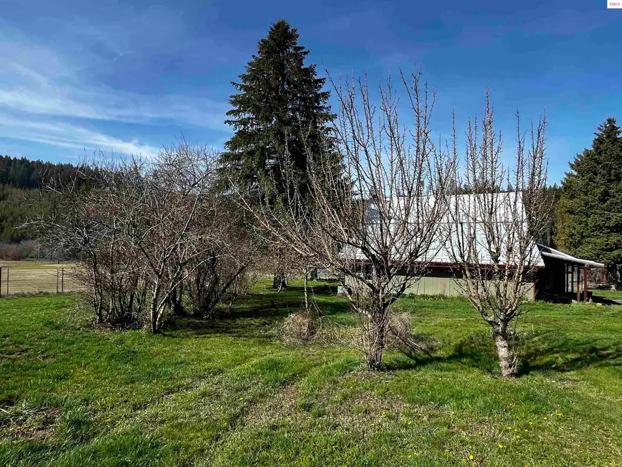 1035 Davis Road, Viola, ID 83872 - #3