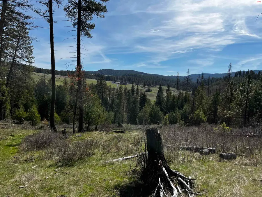 1035 (A) Davis Road, Viola, ID 83872 - #2